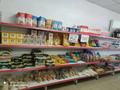Магазины и бутики • 200 м² за 45 млн 〒 в Таразе — фото 5