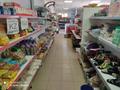 Магазины и бутики • 200 м² за 45 млн 〒 в Таразе — фото 6