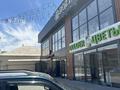 Свободное назначение, офисы, магазины и бутики, склады, азс, автосервисы и автомойки, общепит, салоны красоты, бани, гостиницы и зоны отдыха, медцентры и аптеки, образование, развлечения · 1200 м² за 500 млн ₸ в Шымкенте, Абайский р-н — фото 6