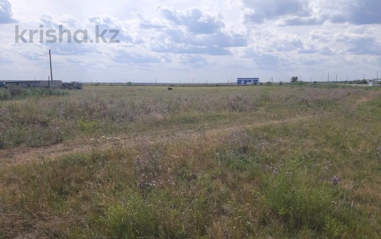Участок · 48 соток, Абылай Хана 248 за 25 млн ₸ в Ерейментау — фото 2