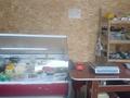 Действующий бизнес (овощной магазин) · 35 м² за 2.2 млн ₸ в Каскелене — фото 4