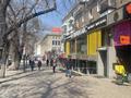 Свободное назначение, магазины и бутики, салоны красоты · 160 м² за 3.2 млн ₸ в Алматы, Алмалинский р-н — фото 5