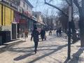 Свободное назначение, магазины и бутики, салоны красоты · 160 м² за 3.2 млн ₸ в Алматы, Алмалинский р-н — фото 6