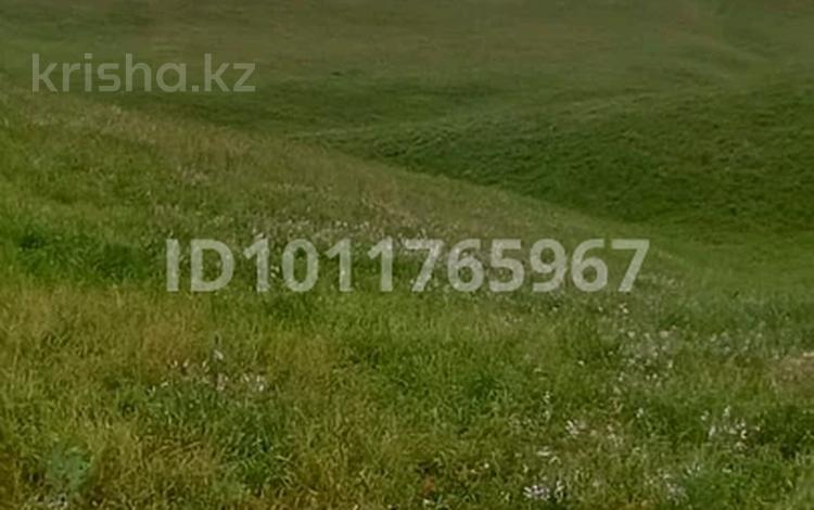 Участок · 12 га, Трасса 44км — Находится дальше кафе за 25.5 млн ₸ в Узынагаш — фото 12