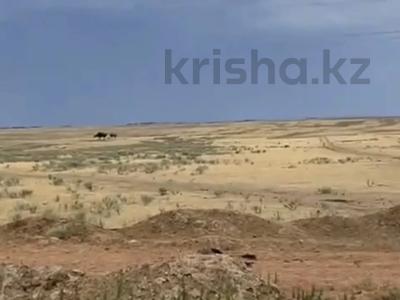 Участок · 441 га, Конаев за 250 млн 〒