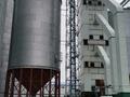 Завод · 0.96 га, Тауелсиздик 279 Б — Земли населенных пунктов за 900 млн 〒 в Сарканде — фото 9