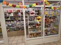 Действующий бутик с разнообразным товаром · 20 м² за 2.6 млн ₸ в Астане, Сарыарка р-н — фото 3