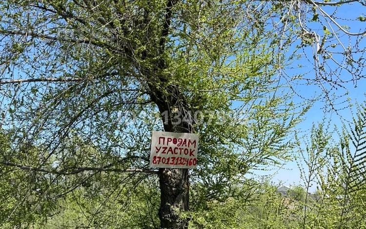 Жер телімі · 120 сотық, Қаскелең, бағасы: 150 млн ₸ в Каскелене — фото 11