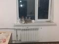 1-комнатная квартира · 25 м² · 4/5 этаж, Раймбека 208 б — Ауэзова ( Максима ) за 100 000 ₸ в Алматы, Алмалинский р-н — фото 2
