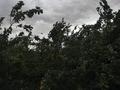 Жеке үй · 5 бөлме · 200 м² · 8 жүзд., Өскен ш/а., 3 — 3 ул недалеко от трассы, бағасы: 27 млн ₸ в Атырау, мкр Зарослый — фото 11