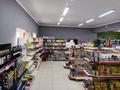Свободное назначение, магазины и бутики, салоны красоты · 513 м² за 95 млн ₸ в  — фото 18