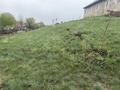 Жер телімі · 150 сотық, Кемертоган, бағасы: 147 млн 〒 — фото 18