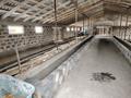 Жеке үй · 3 бөлме · 100 м² · 50 жүзд., Уалиханова 102, бағасы: 6.5 млн ₸ в Новопокровке — фото 7