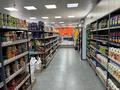 Свободное назначение · 300 м² за 2.2 млн 〒 в Шымкенте, Абайский р-н — фото 12