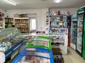 Магазины и бутики • 95 м² за 7.5 млн 〒 в Усть-Каменогорске — фото 11
