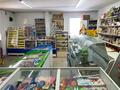 Магазины и бутики • 95 м² за 7.5 млн 〒 в Усть-Каменогорске — фото 12