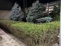 Жеке үй · 6 бөлме · 225 м² · 9.5 жүзд., Самал-3 ш/а., Юсупова 94, бағасы: 90 млн ₸ в Шымкенте, Абайский р-н — фото 3