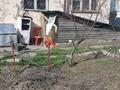 Дача · 2 комнаты · 35.6 м² · 9.47 сот., Арычная — Контора дачного кооператива Уйтас. Магазин Ольга. за 7 млн ₸ в Талдыкоргане — фото 3