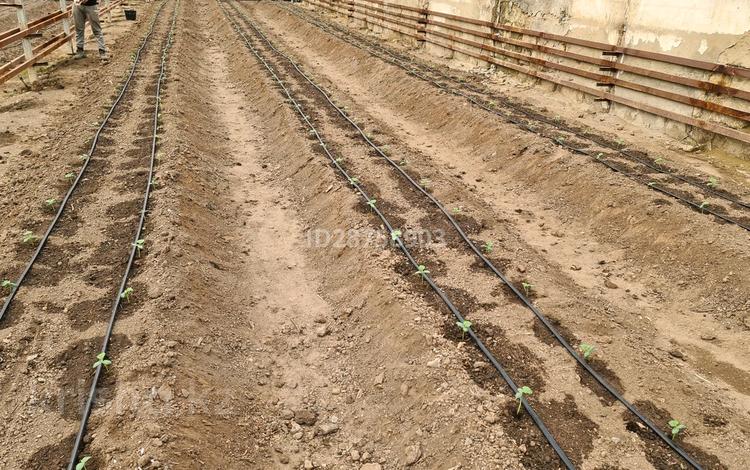 Сельское хозяйство • 3000 м² за 80 млн 〒 в Атырау — фото 4