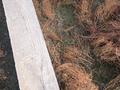Участок · 10 соток, жилой массив Кайнар Булак, Ормек 31 за 10 млн ₸ в Шымкенте, Абайский р-н — фото 5