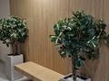 2-комнатная квартира · 58 м² · 5/14 этаж, Туран 55/14 за 45 млн ₸ в Астане, Нура р-н — фото 22