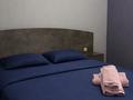 2-бөлмелі пәтер · 45 м² · 9/12 қабат, Сатпаева 90 — Туркебаева, бағасы: 17 000 ₸ в Алматы, Бостандыкский р-н