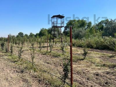 Промбаза · 69 га, Жамбул634 57 за 3 млн ₸ в Каскелене