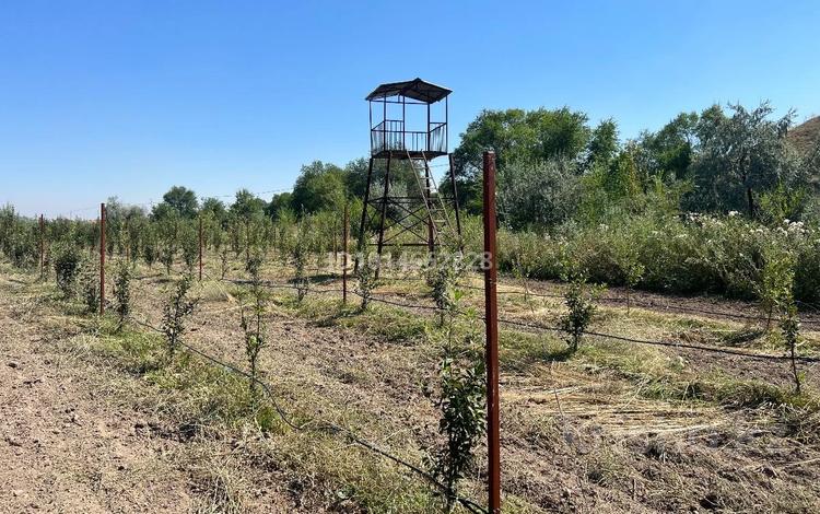 Промбаза · 69 га, Жамбул634 57 за 3 млн ₸ в Каскелене — фото 2