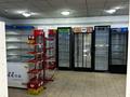 Магазины и бутики · 100 м² за 200 000 ₸ в Каскелене — фото 2