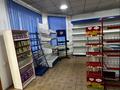 Магазины и бутики · 100 м² за 200 000 ₸ в Каскелене — фото 3