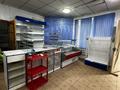 Магазины и бутики · 100 м² за 200 000 ₸ в Каскелене — фото 4