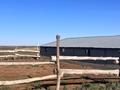 Ауыл шаруашылығы · 100000 м², бағасы: 17 млн ₸ в Жамбылской обл., Байзак — фото 3