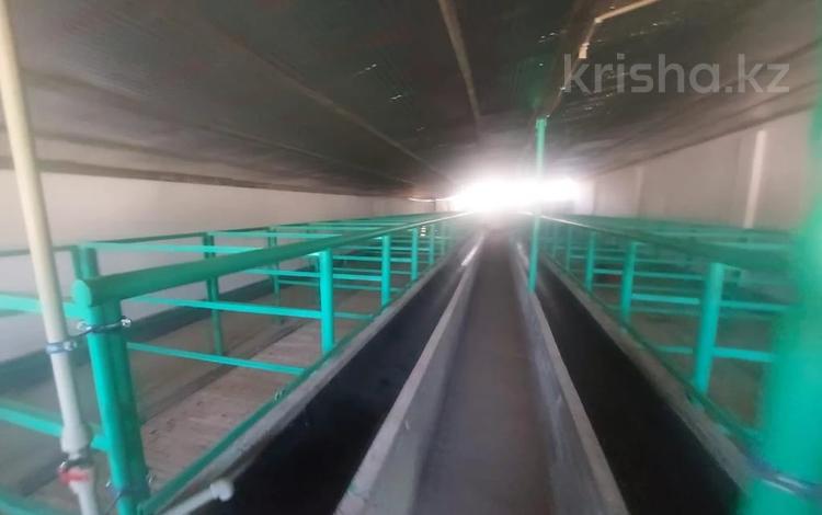 Промбаза · 40 га, Каратал за 120 млн 〒 в Талдыкоргане — фото 2