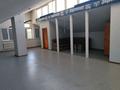 Свободное назначение, офисы · 600 м² за 3.5 млн ₸ в Алматы, Медеуский р-н — фото 36