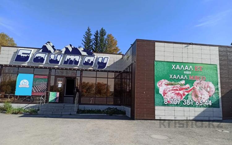 Дүкендер мен бутиктер, қоймалар · 217 м², бағасы: 175 млн ₸ в Щучинске — фото 2