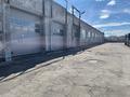 Промбаза · 50 соток, Абая 197 за 210 млн 〒 в Усть-Каменогорске — фото 16