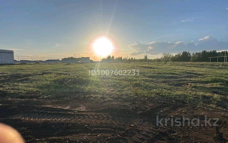 Жер телімі · 10 сотық, Караоткель, бағасы: 7 млн ₸ — фото 9