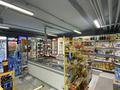 Магазины и бутики · 102 м² за 62.5 млн ₸ в Астане, Нура р-н — фото 4