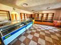 Дүкендер мен бутиктер · 103 м², бағасы: 27 млн ₸ в Байсерке — фото 5