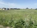 Участок · 6 соток, Исаево за 2.8 млн ₸ — фото 4
