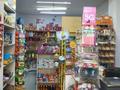 Магазины и бутики • 49 м² за 250 000 〒 в Алматы, Наурызбайский р-н — фото 4