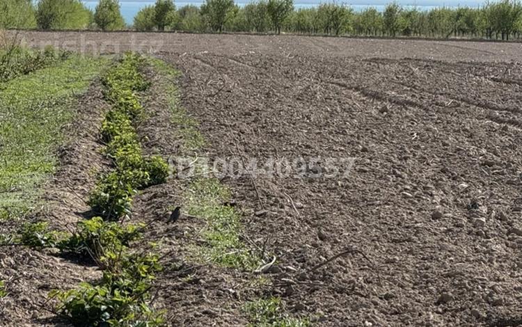 Өнеркәсіптік база · 960 га, 1 1 — Алматинская область г. Конаев городская администрация село Сарыбулак, бағасы: 300 млн ₸ — фото 69