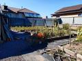 Отдельный дом · 4 комнаты · 81.7 м² · 6 сот., мкр Михайловка , Нахимова 32 — Остановка Строительная за 19.5 млн 〒 в Караганде, Казыбек би р-н — фото 10