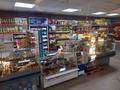 Магазины и бутики • 185 м² за 62.5 млн 〒 в Кокшетау — фото 6