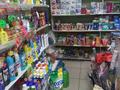 Магазины и бутики • 185 м² за 62.5 млн 〒 в Кокшетау — фото 13
