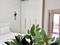 2-бөлмелі пәтер · 51 м² · 10/12 қабат, Ашимова 1/5Б, бағасы: 18 000 ₸ в Алматы, Наурызбайский р-н