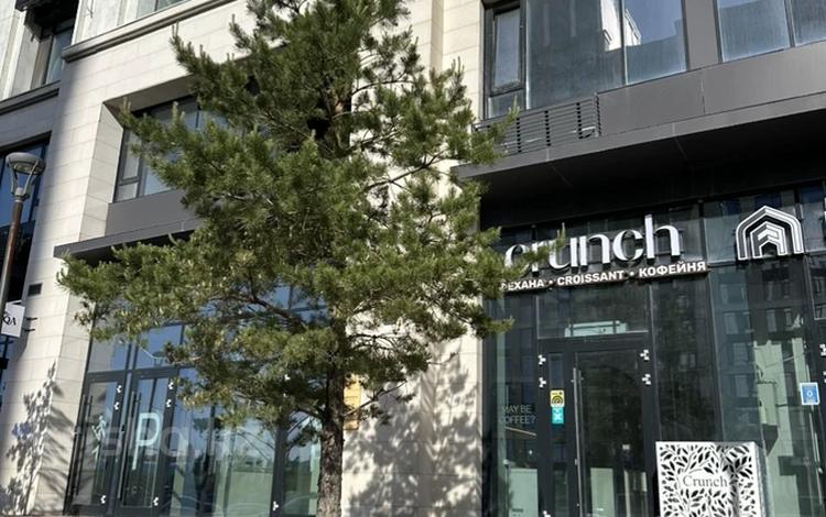 Еркін · 41 м², бағасы: 800 000 ₸ в Астане, Есильский р-н — фото 2