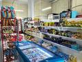Продуктовый магазин · 76 м² за 7.9 млн ₸ в Астане, Есильский р-н