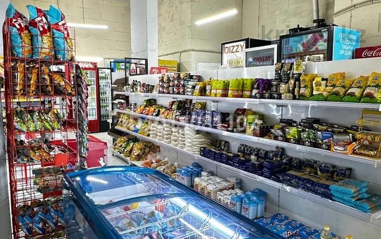 Продуктовый магазин · 76 м² за 7.9 млн ₸ в Астане, Есильский р-н — фото 22
