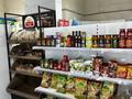 Продуктовый магазин · 76 м² за 7.9 млн ₸ в Астане, Есильский р-н — фото 5